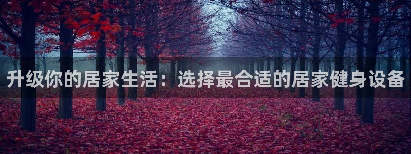 意昂体育4平台注册流程视频：升级你的居家生活：选择最