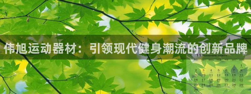 意昂4官方：伟旭运动器材：引领现代健身潮流的创新品牌