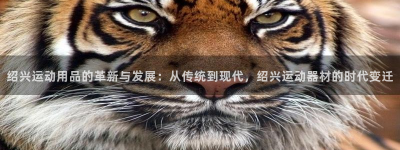 意昂4科技