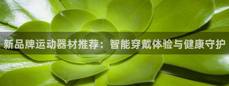 意昂体育4招商电话号码查询：新品牌运动器材推荐：智能