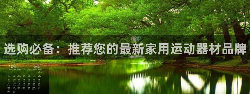 海南意昂体育4：选购必备：推荐您的最新家用运动器材品