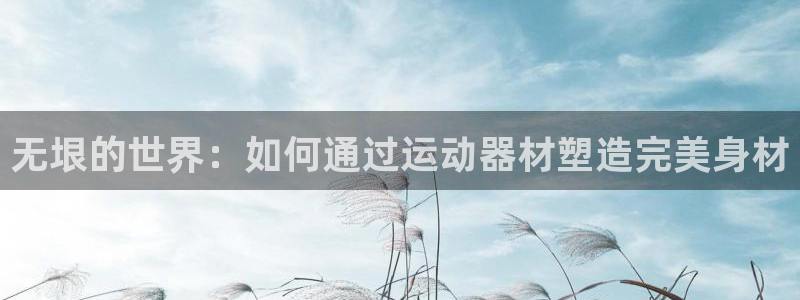 意昂平台体育：无垠的世界：如何通过运动器材塑造完美身