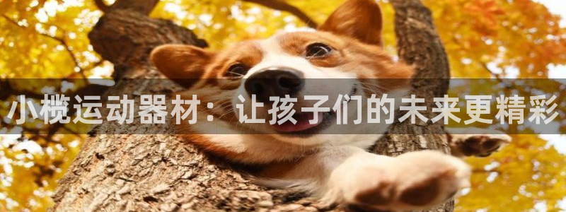 意昂体育4招商：小榄运动器材：让孩子们的未来更精彩