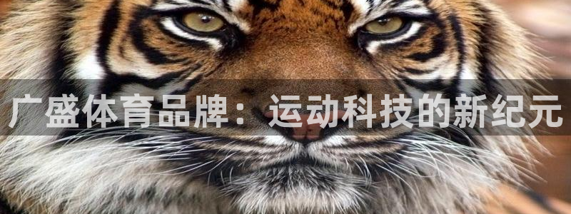 意昂4娱乐