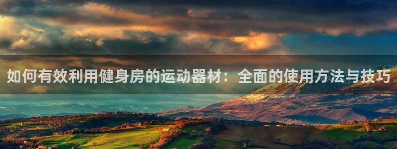 意昂4集团简介：如何有效利用健身房的运动器材：全面的