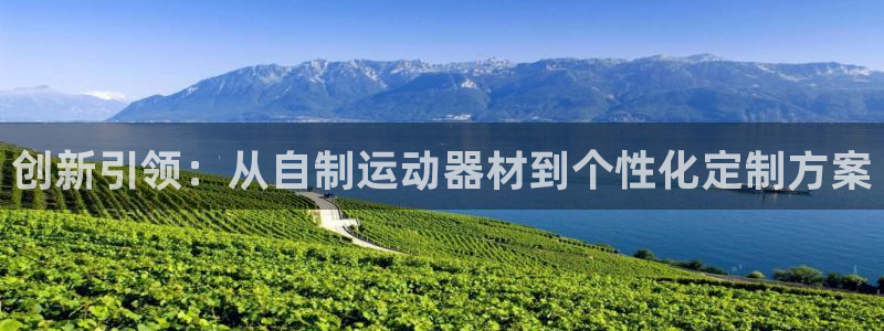 意昂体育4招商电话是多少号码：创新引领：从自制运动器