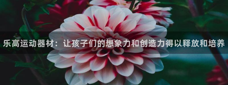 意昂4集团简介：乐高运动器材：让孩子们的想象力和创造