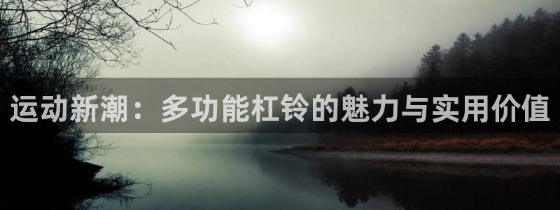 意昂体育4是干嘛的公司：运动新潮：多功能杠铃的魅力与