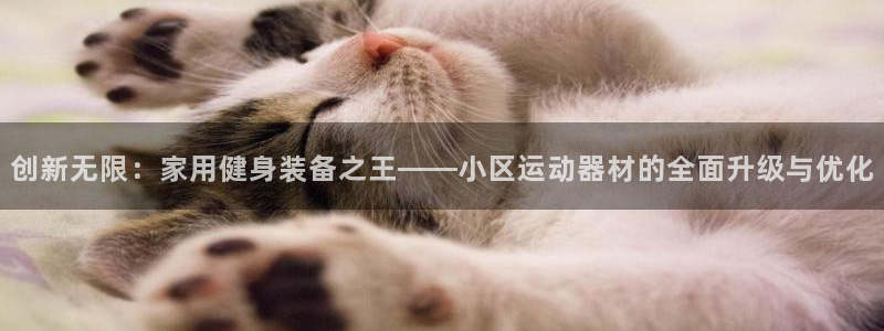 意昂体育4平台APP：创新无限：家用健身装备之王——