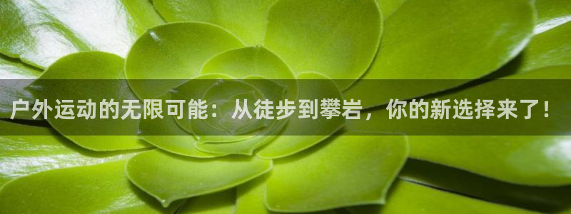 意昂体育4注册：户外运动的无限可能：从徒步到攀岩，你