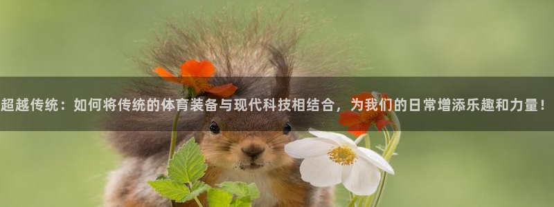 意昂体育4平台假的吗是真的吗：超越传统：如何将传统的体育装备
