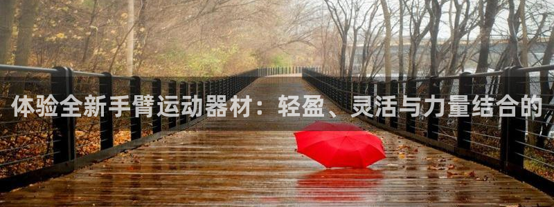 意昂体育4软件：体验全新手臂运动器材：轻盈、灵活与力量结合的