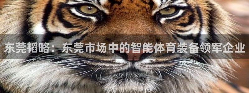 意昂体育4注册：东莞韬略：东莞市场中的智能体育装备领