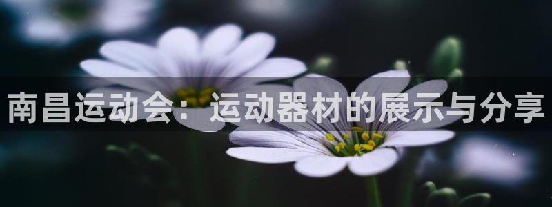 意昂体育4招商电话地址是多少