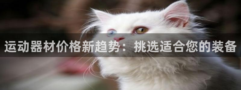 意昂体育4平台是正规平台吗安全吗：运动器材价格新趋势