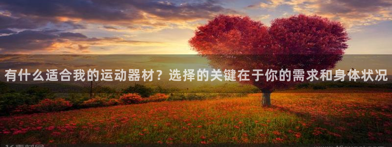 意昂4娱乐平台：有什么适合我的运动器材？选择的关键在于你的需