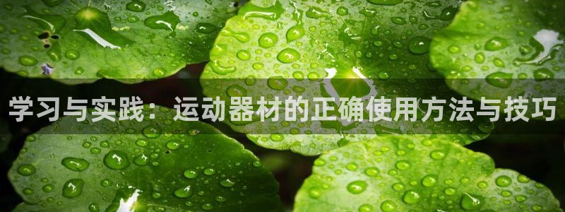意昂体育4软件：学习与实践：运动器材的正确使用方法与