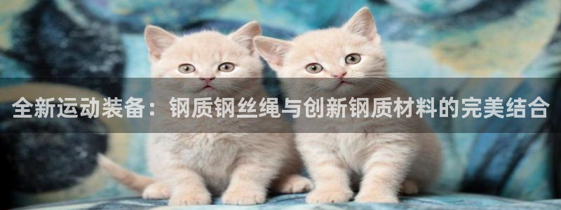 海南意昂体育4发展怎么样