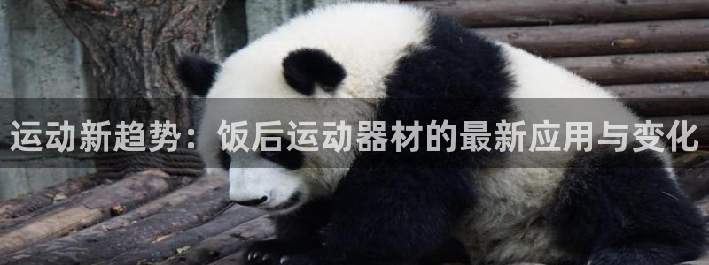 意昂体育4是干嘛的公司