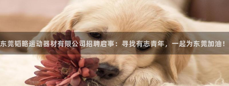 意昂体育4注册：东莞韬略运动器材有限公司招聘启事：寻