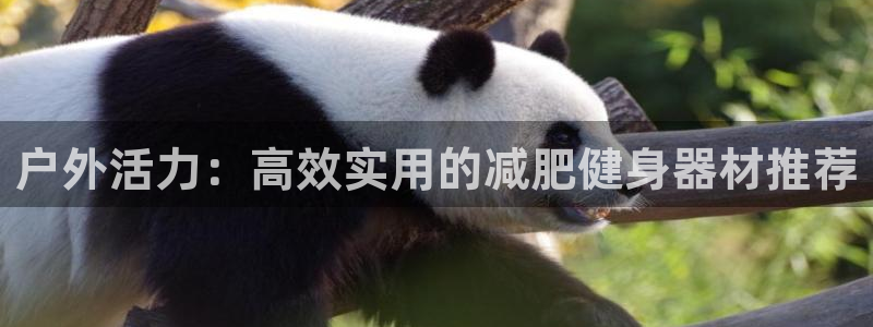 意昂体育4招商电话是多少：户外活力：高效实用的减肥健身器材推
