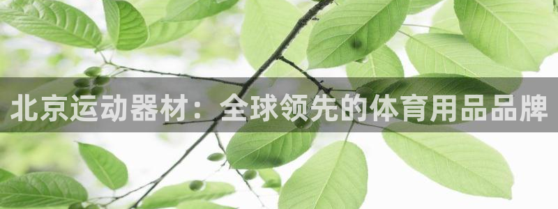 意昂4娱乐40996