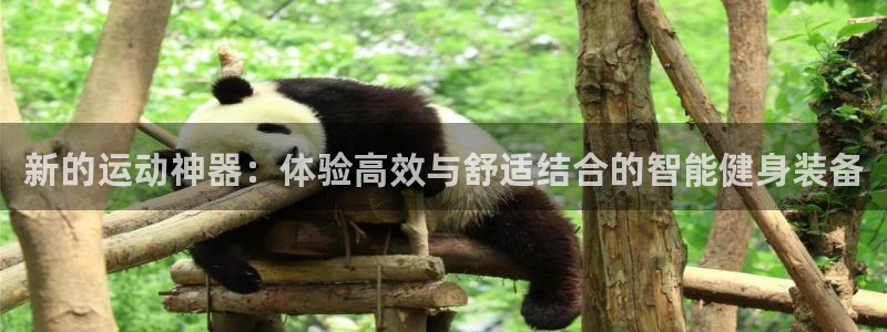 意昂体育4是干嘛的公司：新的运动神器：体验高效与舒适结合的智