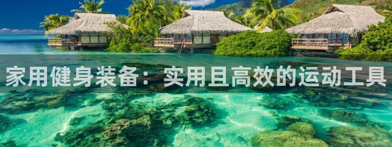 意昂4娱乐40996：家用健身装备：实用且高效的运动工具