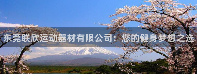 意昂体育4平台注册要钱吗：东莞联欣运动器材有限公司：您的健身