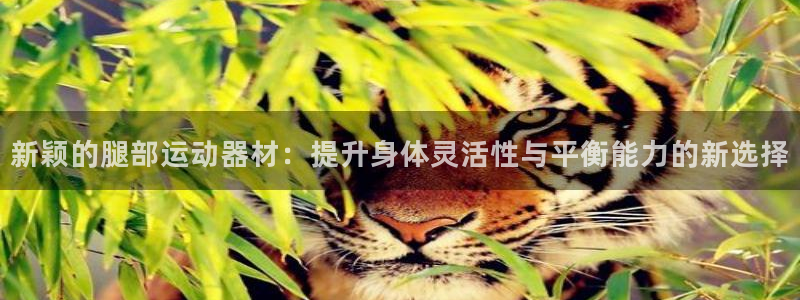 意昂体育4招商电话号码是多少：新颖的腿部运动器材：提升身体灵