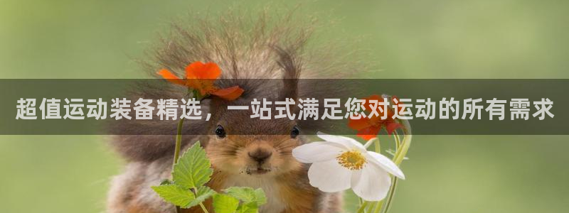 意昂体育4招商电话是多少号码