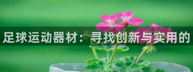 意昂体育4平台是正规平台吗安全吗：足球运动器材：寻找创新与实