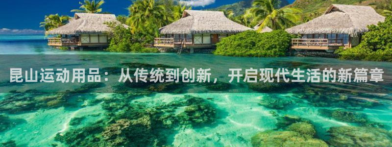 意昂体育4软件：昆山运动用品：从传统到创新，开启现代生活的新
