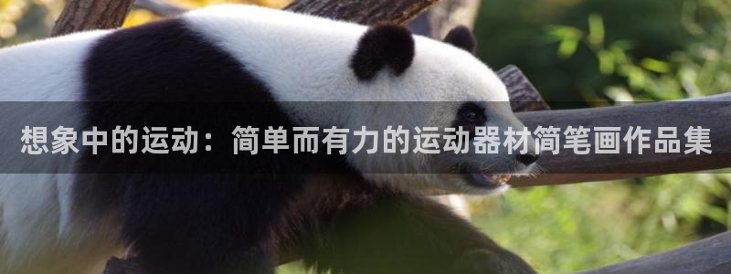 意昂体育4平台是正规平台吗安全吗：想象中的运动：简单