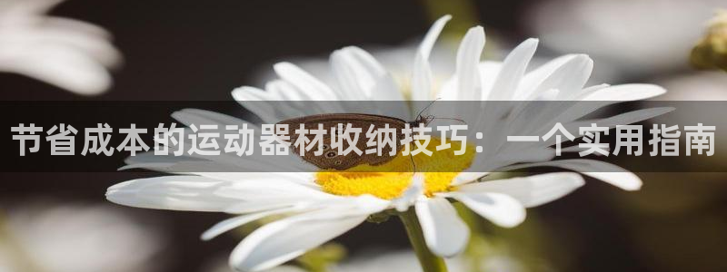 意昂4娱乐平台：节省成本的运动器材收纳技巧：一个实用