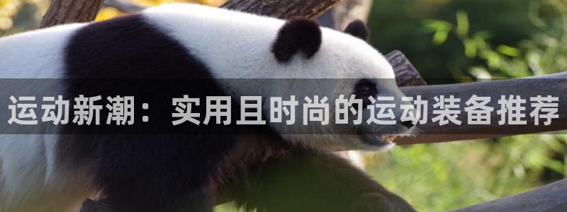 意昂4代理：运动新潮：实用且时尚的运动装备推荐