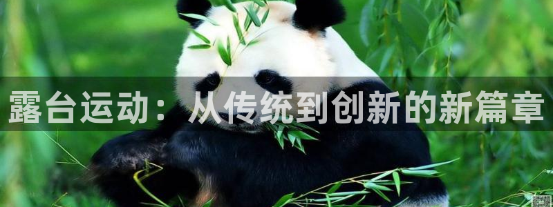 意昂体育4招商电话号码是多少：露台运动：从传统到创新