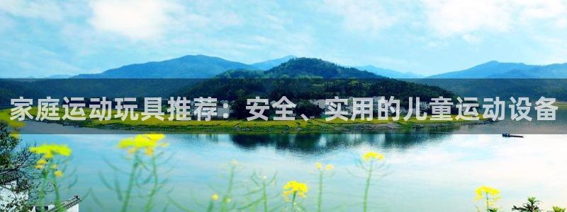 意昂4娱乐40996：家庭运动玩具推荐：安全、实用的
