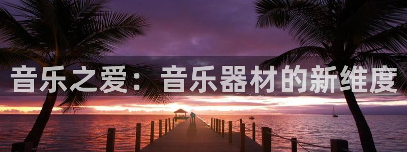 意昂体育4：音乐之爱：音乐器材的新维度
