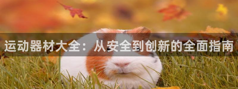 意昂体育4招商电话号码查询：运动器材大全：从安全到创