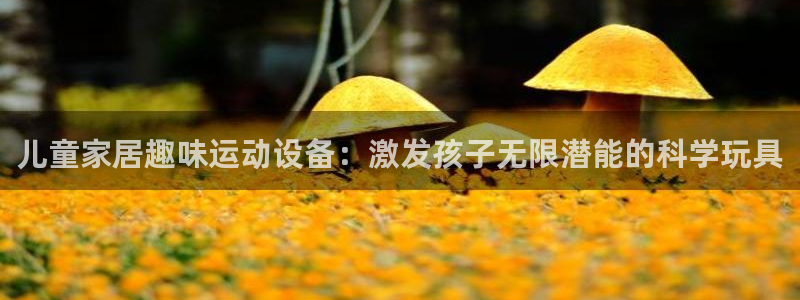 意昂体育4是干嘛的公司：儿童家居趣味运动设备：激发孩