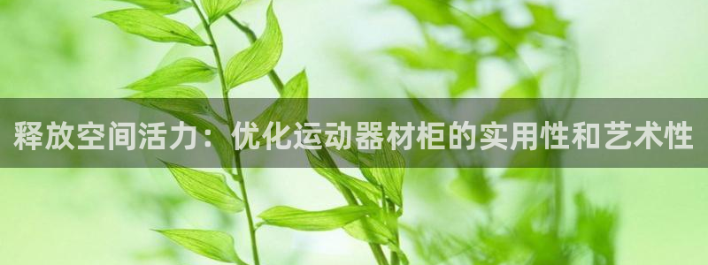意昂4代理：释放空间活力：优化运动器材柜的实用性和艺