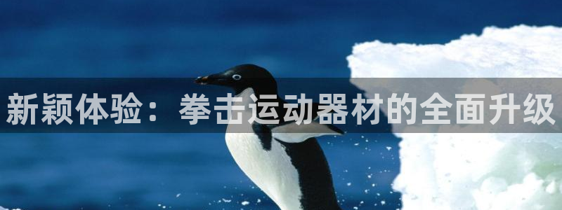 意昂体育4平台注册：新颖体验：拳击运动器材的全面升级