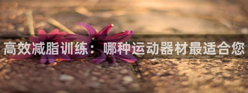意昂集团官网：高效减脂训练：哪种运动器材最适合您