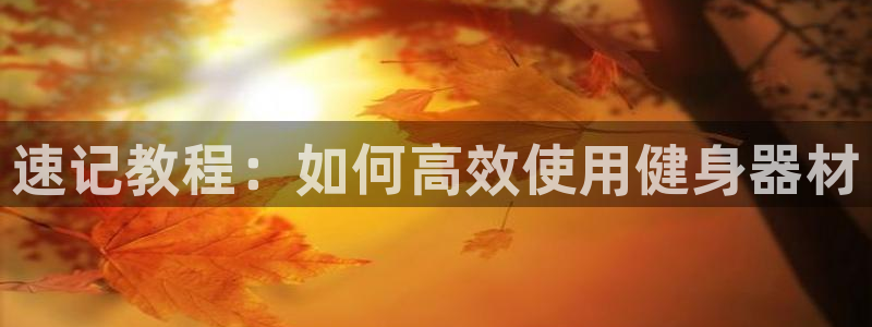 意昂4集团官网首页网址：速记教程：如何高效使用健身器材
