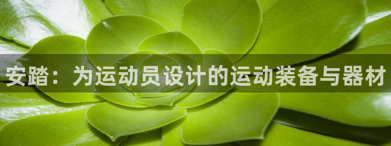 意昂体育4平台注册：安踏：为运动员设计的运动装备与器