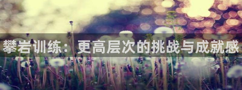 意昂体育4平台注册要钱吗安全吗：攀岩训练：更高层次的