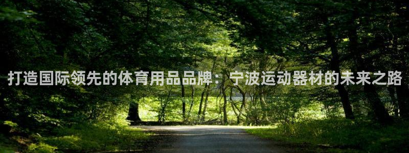 意昂4娱乐首页官网下载：打造国际领先的体育用品品牌：