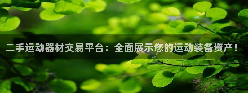 意昂4娱乐首页网站大全：二手运动器材交易平台：全面展