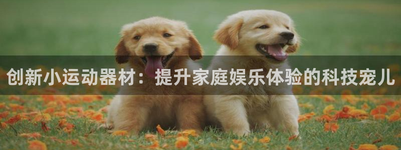 意昂体育4招商电话：创新小运动器材：提升家庭娱乐体验